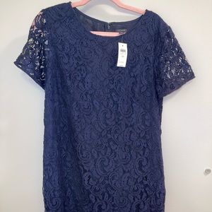 NWT Ann Taylor Dress